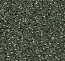 Ковролин Balsan Zenith Roll 250 фото 1 | FLOORDEALER